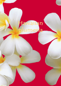 plumeria flower theme