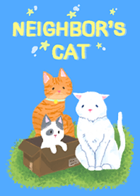 neighbor's cat