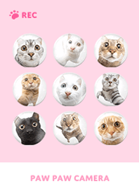 Paw Paw Camera -  Pink 02