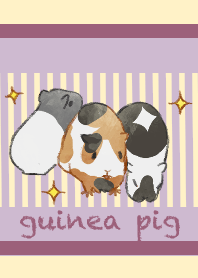 guinea pig!!
