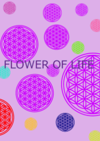 Flower of life Theme purple