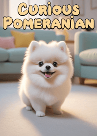 Curious Pomeranian VOL.14