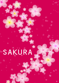 SAKURA7