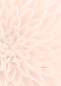 Flower Theme 31
