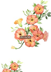 water color flowers_649