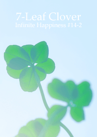 7-Leaf Clover Infinite Happiness#14-2