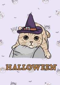 meow's halloween / light purple