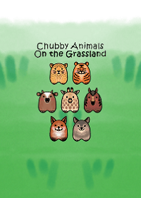Chubby Animals-On the Grassland