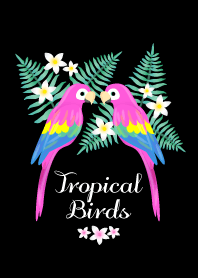 Tropical Birds