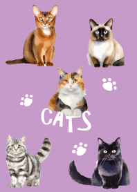 unique cats on light purple JP