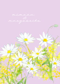 mimosa&marguerite -purple-