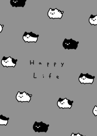 胖胖貓 / gray black