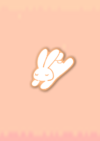 Simple Sleep Rabbit 1