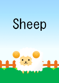 Sheep!