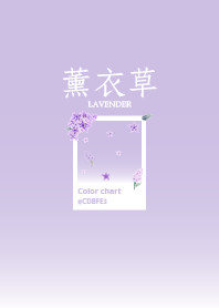 極簡時光_薰衣草紫