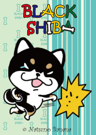 Negative black Shiba Mint green