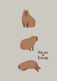 Mr.capybara is cozy