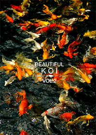 Beautiful Koi Vol.2