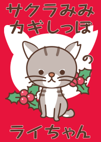 Theme of a bobtail cat - winter