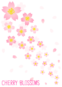 Cherry Blossoms - white-joc
