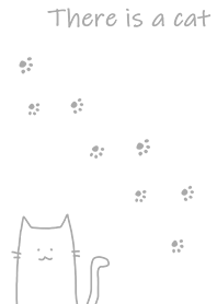 There is a cat*white