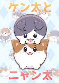 KENTA and NYANTA