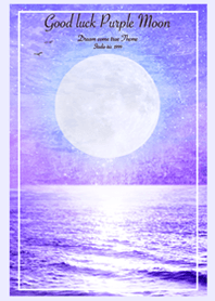Good luck Purple Moon lavender