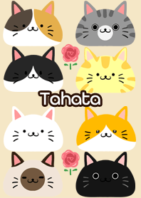 Tahata Scandinavian cute cat3