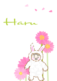 Haru 01