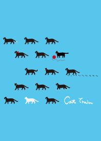 Column of black cat