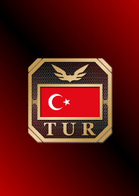 TUR 2