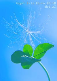 Angel Hair Photo #3-18Not AI