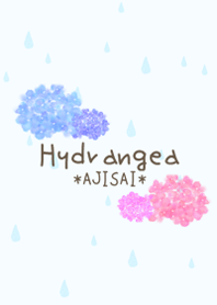 Hydrangea *あじさい*