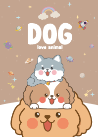 น้องหมา คิ้วตี้กาแล็กซี่ สีช็อคโกแลต