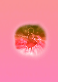 Fairy Empire Red Orange