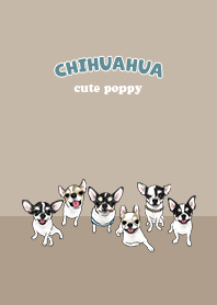 chihuahua1 / tan