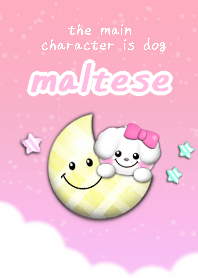 sky2 maltese dog theme pink