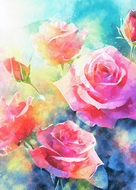 Beautiful rose flower(R1244)