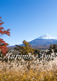 秋の富士2