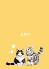 Talking Cats on light yellow
