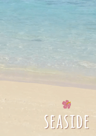 Seaside Hibiscus'mocha brown'