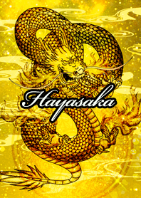 Hayasaka Golden Dragon Money luck UP