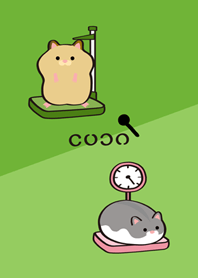 햄스터 건강검진!(신록)