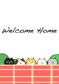 Welcome Home-cute cats