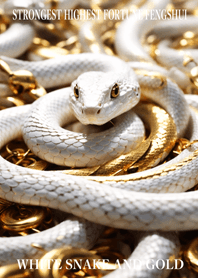 最高最強金運風水 白蛇と黄金　幸運の35