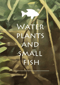 Water plants and small fish