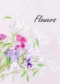 Viola flowers sway lightly9.