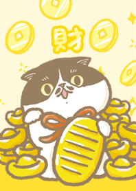 點點貓 金運加持