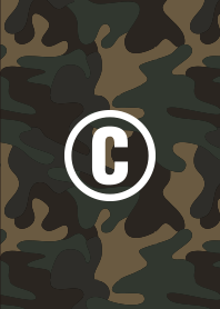 CAMOUFLAGE 1.0