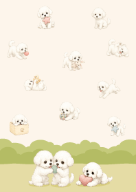 Cute happy bichon frise dog/pink6